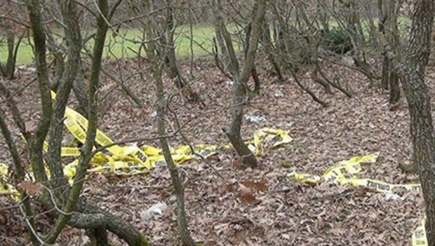 Kafası ve kolu kopan erkek cesedi bulundu