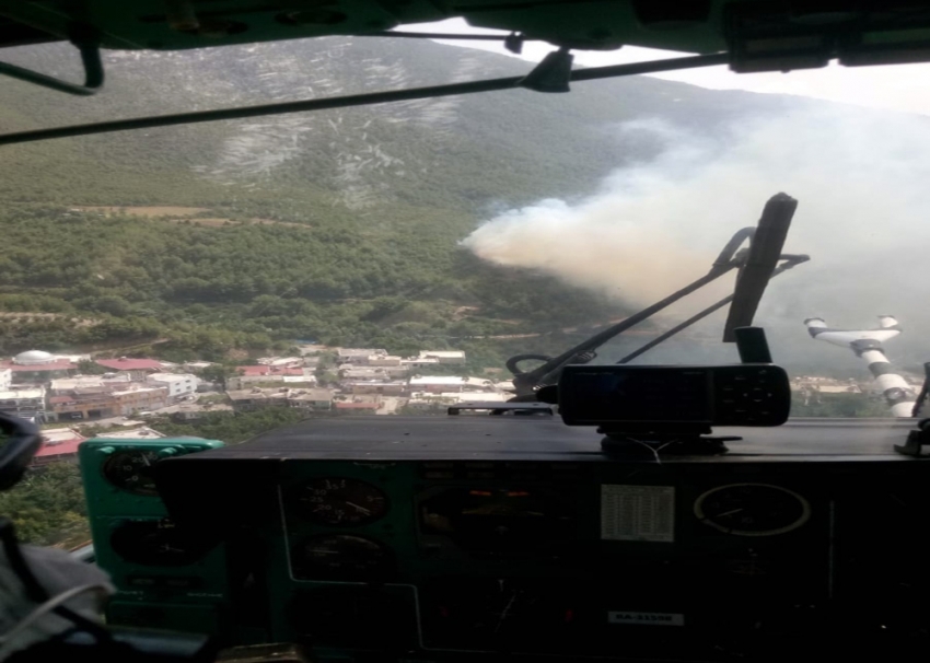 Hatay’daki orman yangını