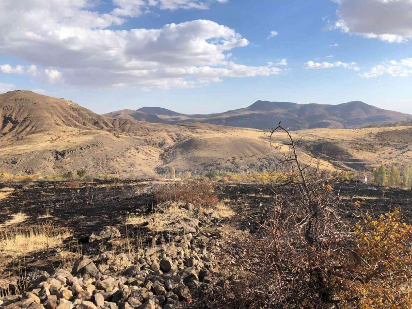 Arazi yangını: 8 dönüm zarar gördü