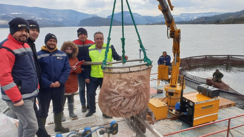 Avrupa’nın alabalığı bu barajdan gidiyor