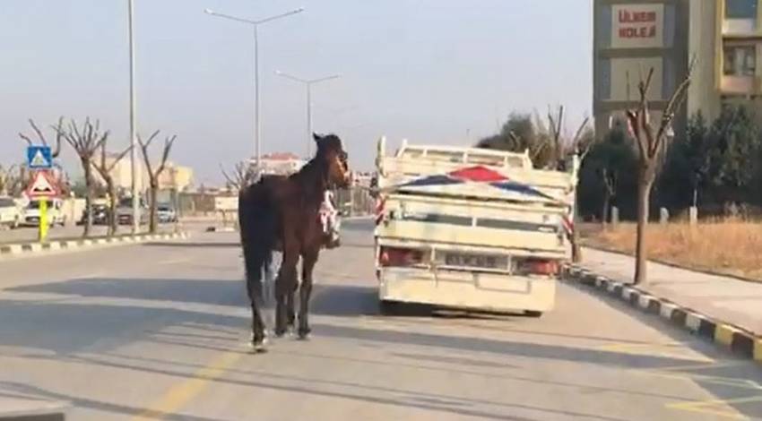 Bunun adı vicdansızlık!