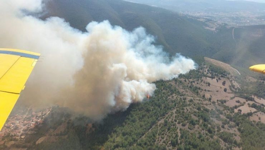 Orman yangını kontrol altında