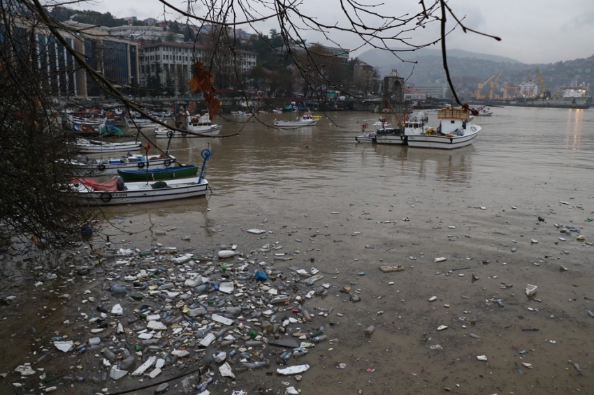 Zonguldak Limanı sarıya boyandı