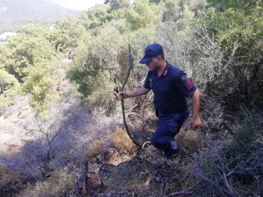 Kayıp Buse için kadavra köpekli arama başlatıldı