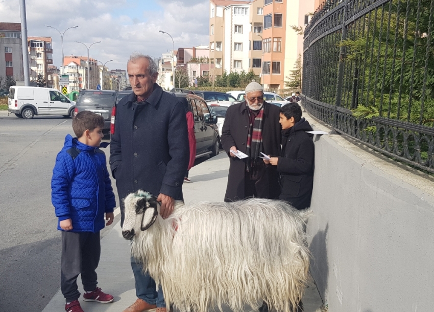 Oy vermeye keçisiyle geldi