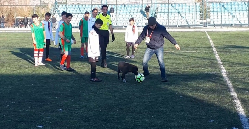 Sahaya giren köpek ortalığı birbirine kattı