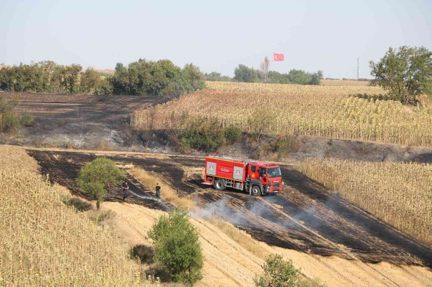 Anız yangını