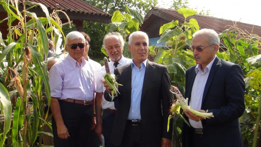 Bursa’nın tohumları bu kütüphanede buluşuyor