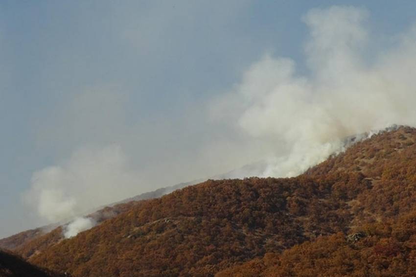 Tunceli Valiliği: 100’e yakın terörist etkisiz hale getirildi