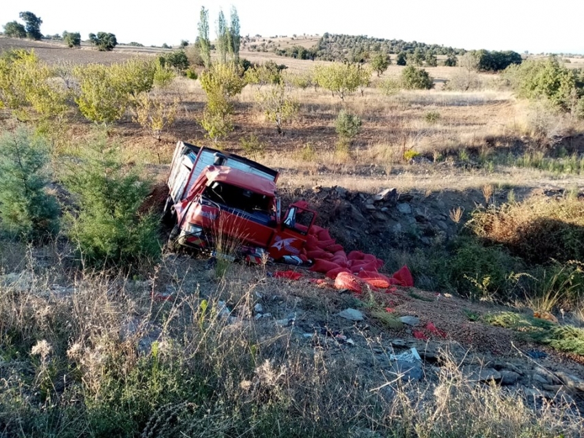 Badem yüklü kamyonet devrildi: 2 yaralı