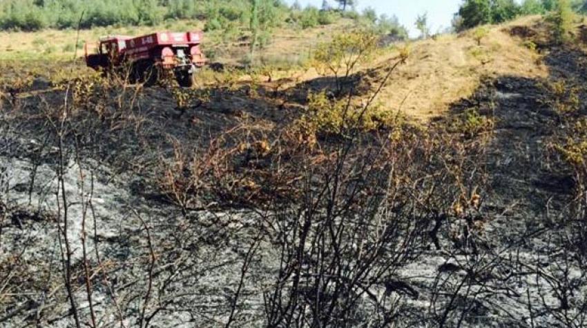 İslahiye'de orman yangını