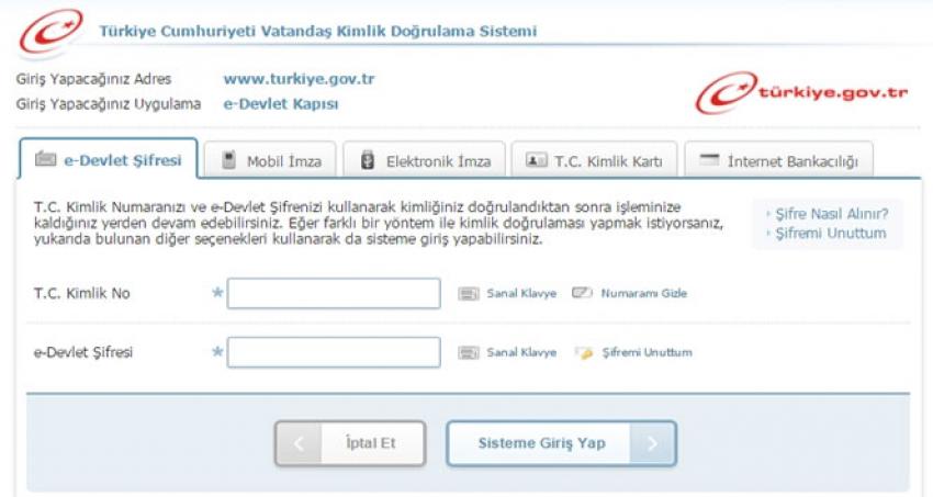 E-devlet’i en çok ne için kullanıyoruz?