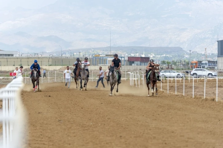 14. Geleneksel Rahvan At Yarışları nefes kesti, attan düşen genç kadın yaralandı
