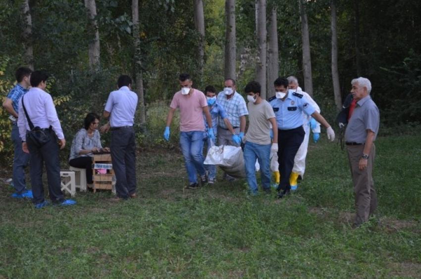 Tokat'ta tarlada ceset bulundu