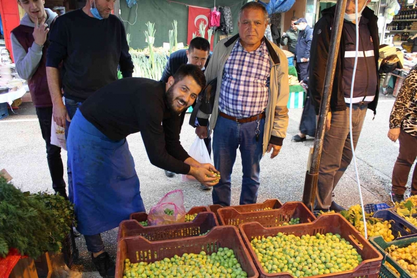 Günde yedi zeytin yiyip alzheimerdan korunun