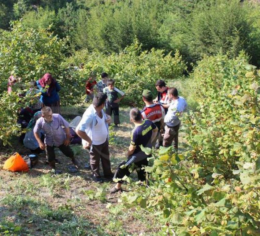 Patpat fındık tarlasına uçtu