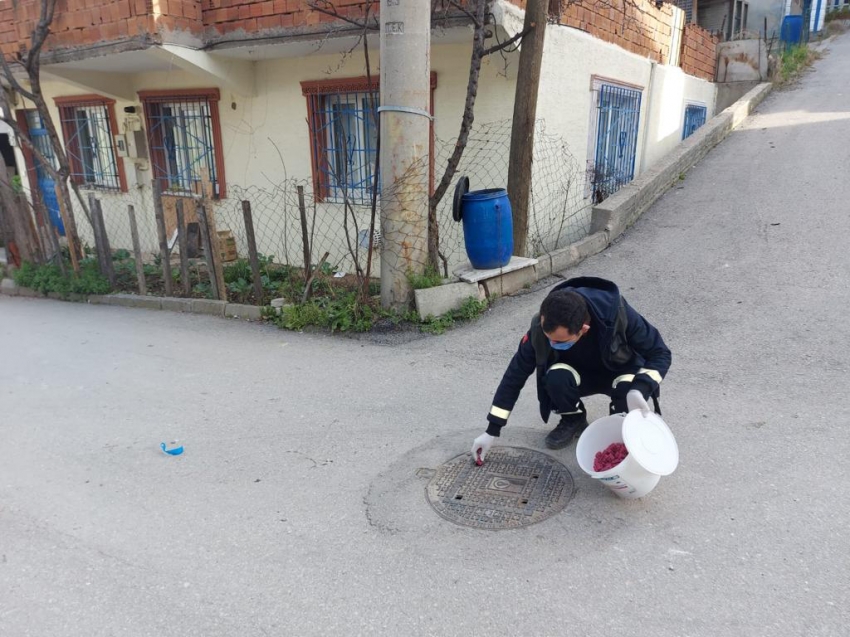 Osmangazi'de haşerelere karşı ilaçlama