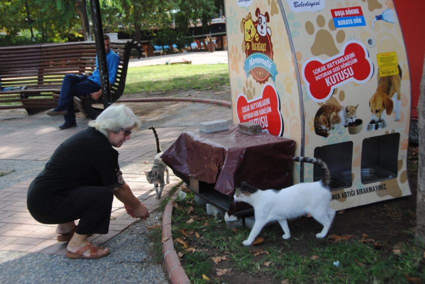 Plastik ve cam atıklar sokak hayvanlarına mama oluyor