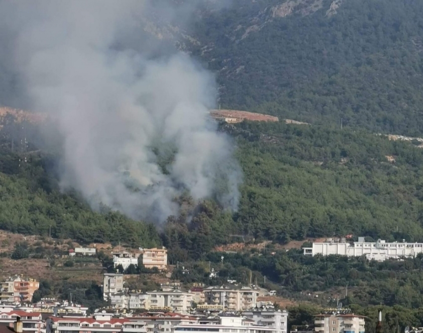 Alanya’da orman yangını