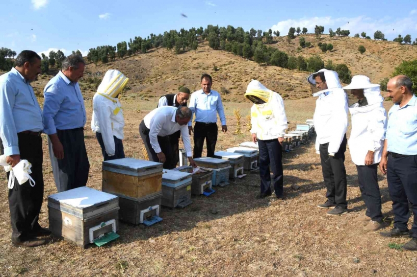 Bal sağım sezonu başladı