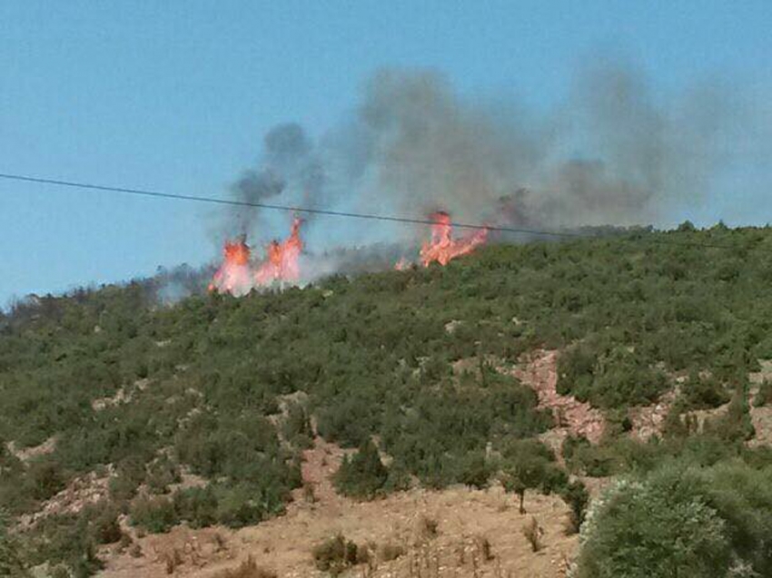 Isparta’da orman yangını