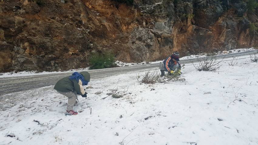 Manavgat’a 15 yıl sonra kar yağdı