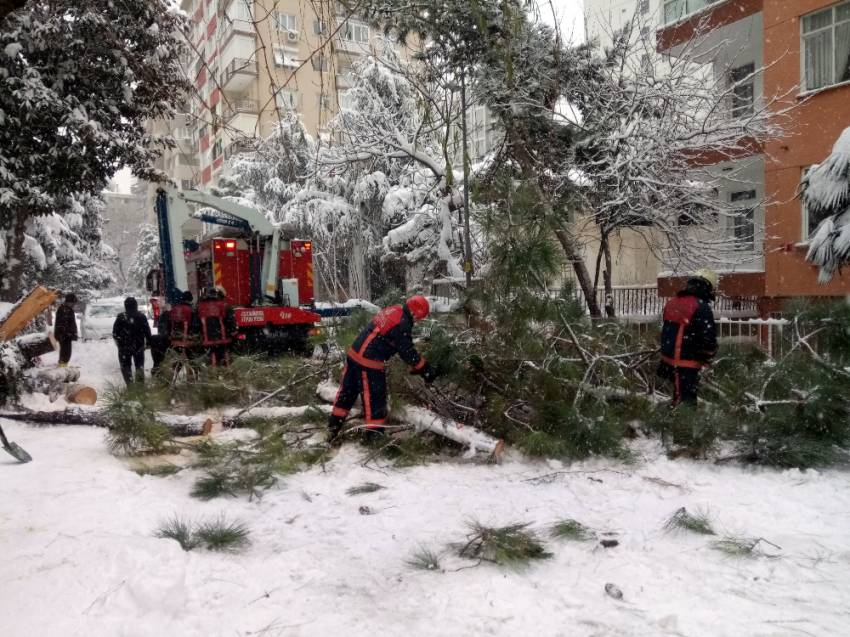 Devrilen ağaç araçlara zarar verdi