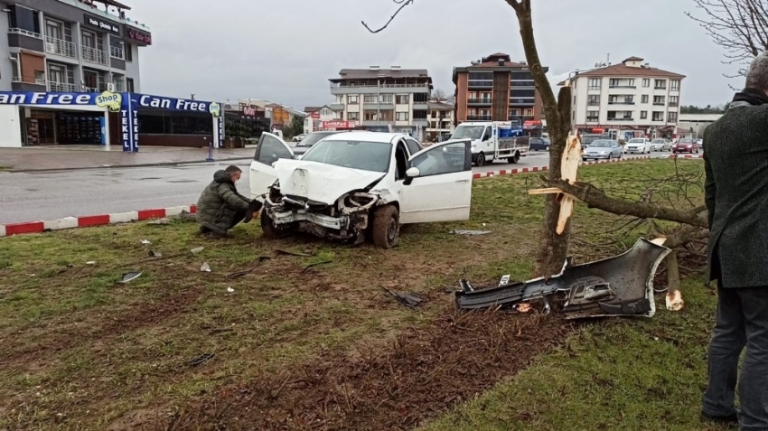 Refüje çıkan otomobil ağaçları parçalayarak durabildi