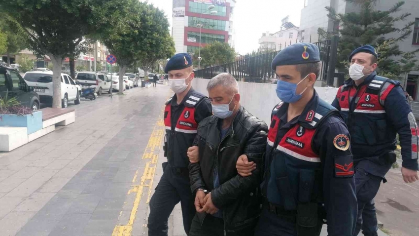 İnek çalan kocası için polise kayıp ilanı vermiş