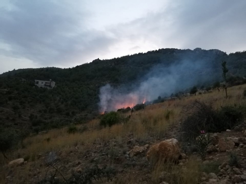 Adana’da orman yangını