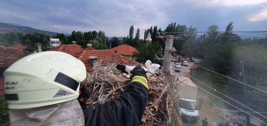 Ayağına ip dolanan Leylek İtfaiye tarafından kurtarıldı