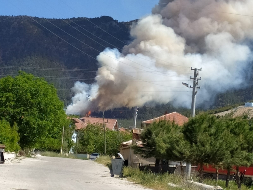 Kısıtlamada mangal yakan 3 kişi 5 hektar ormanı kül etti