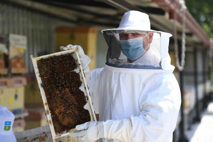 20 bin kraliçe arı evlerine uçtu
