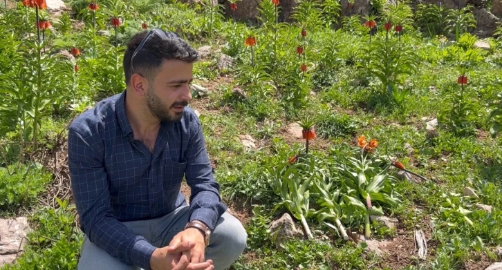 20 günlük ömrü olan çiçeği bıçakla kestiler