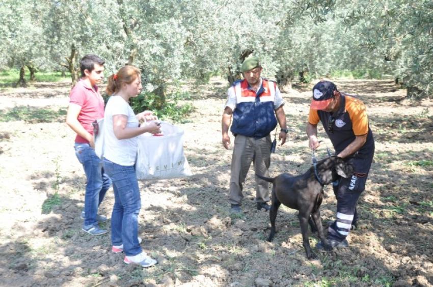 Bursalı emlakçı kadından 10 gündür haber yok! Arama çalışmaları sürüyor