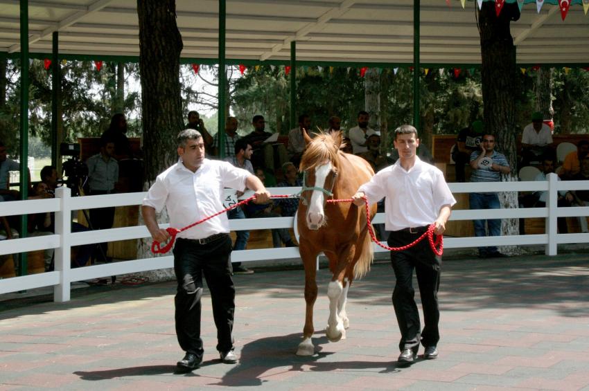 Bursa'da villa fiyatına taylar kapışıldı!