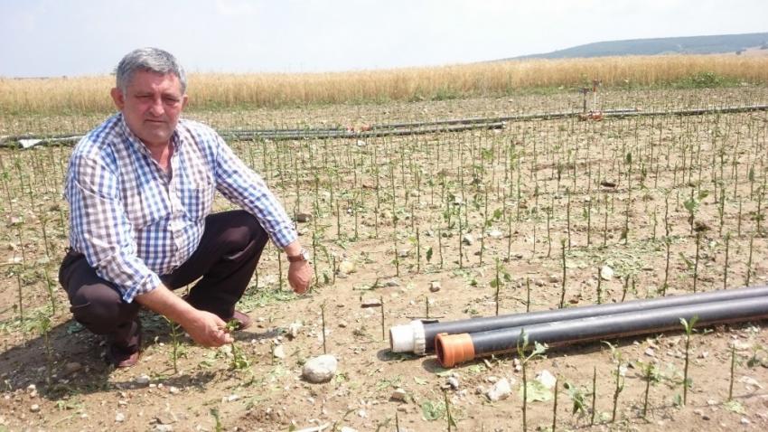 Dolu yağışının ardından hasar tespiti