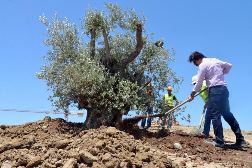 En yaşlıları onlar oldu