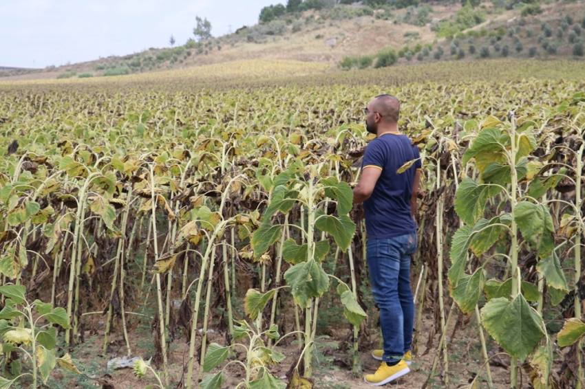 Başkent’te feci kaza: 3 ölü, 3 yaralı