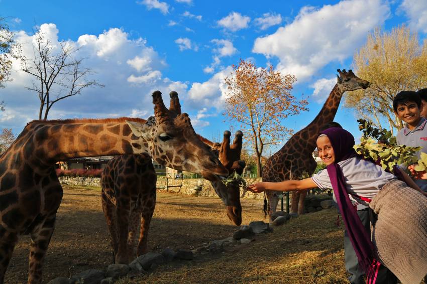 Bursa Zoo 18 yaşında