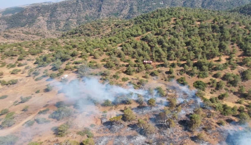 Gaziantep’te orman yangını