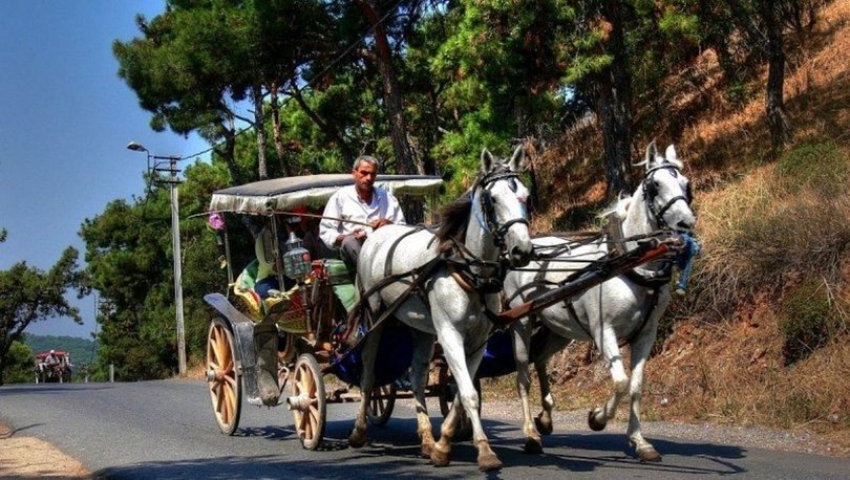 Adalar'daki faytonlarla ilgili önemli karar