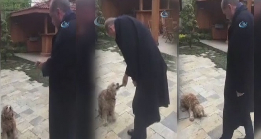 Erdoğan küçük köpeği böyle besledi