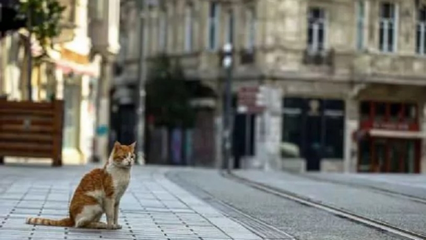 Sokağa çıkma kısıtlaması başladı