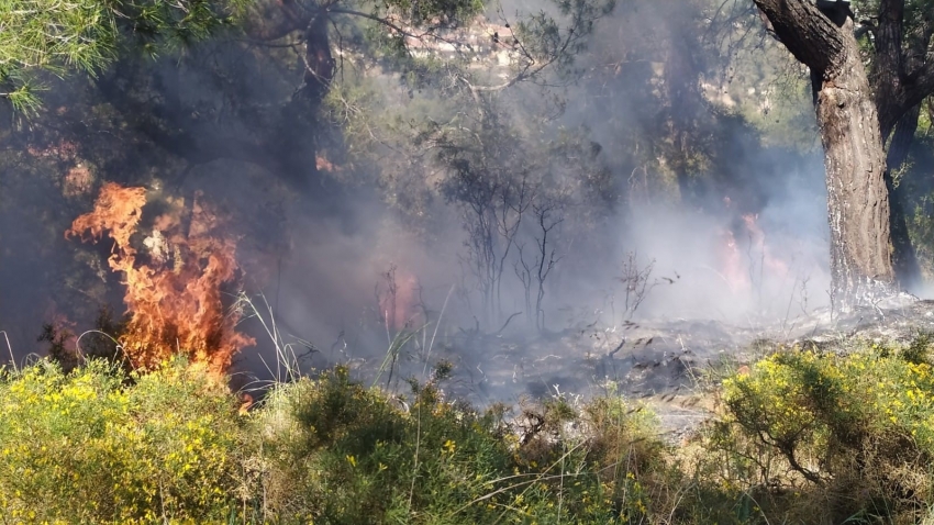 Fethiye'de orman yangını