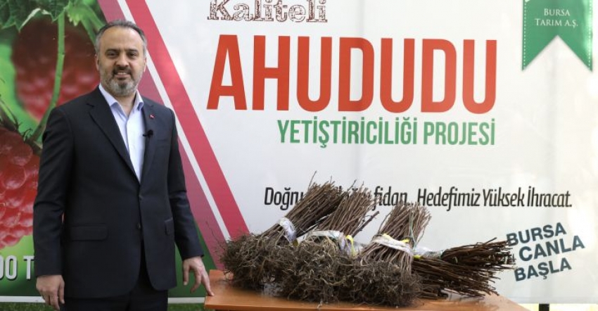 125 bin ahududu fidanı üreticiyle buluştu