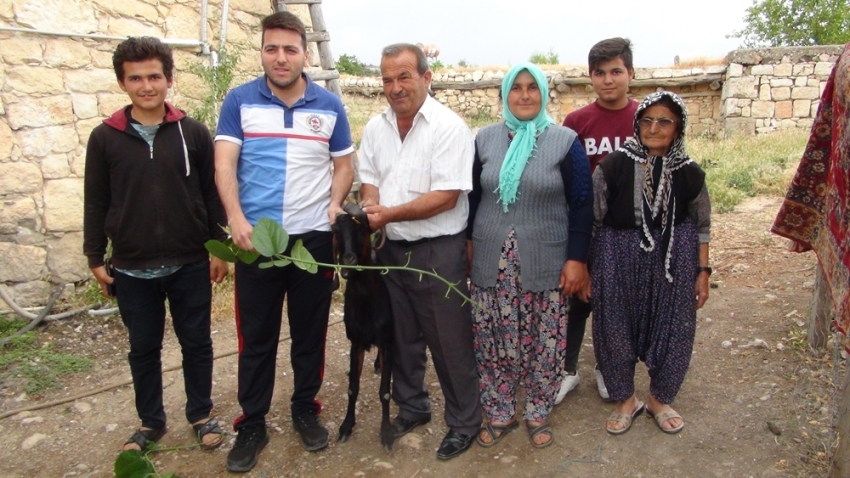 ’’Boynuz kulağı geçti’’ deyimi gerçek oldu