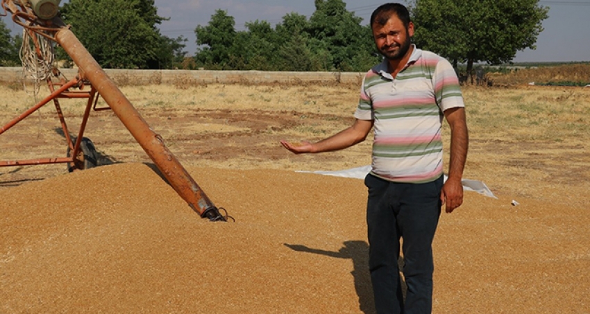 30 ton buğday yüklü tırla kayıplara karıştı