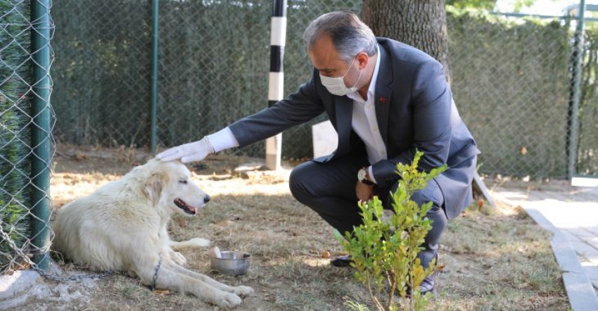 Bursa'da can dostlara modern rehabilitasyon merkezi