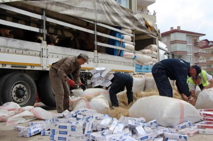 TIR dorsesinden bunlar çıktı